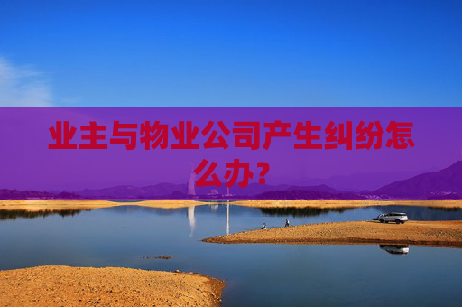 业主与物业公司产生纠纷怎么办？