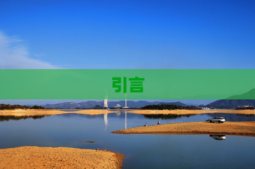 引言