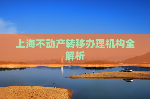 上海不动产转移办理机构全解析
