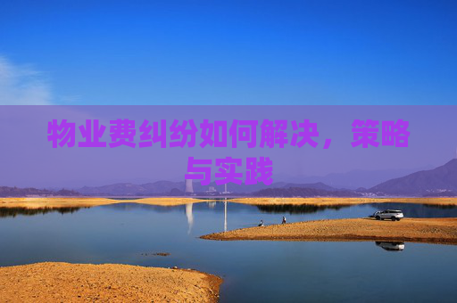 物业费纠纷如何解决，策略与实践