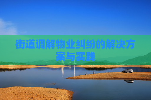 街道调解物业纠纷的解决方案与实践