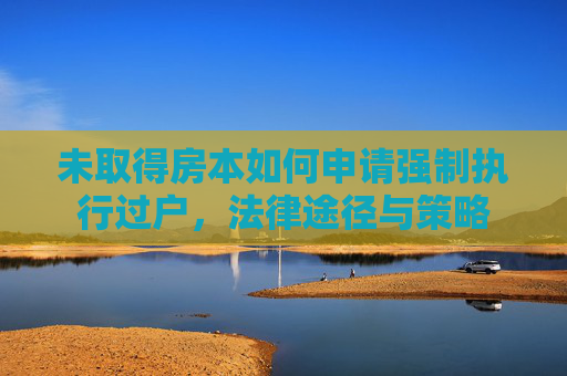 未取得房本如何申请强制执行过户，法律途径与策略