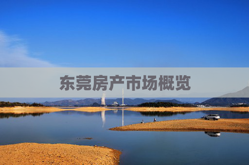 东莞房产市场概览