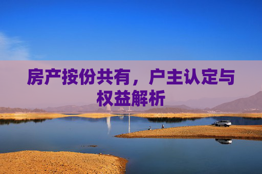 房产按份共有，户主认定与权益解析
