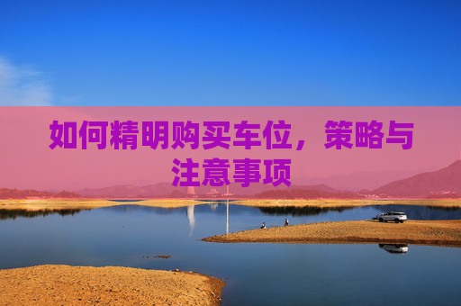 如何精明购买车位，策略与注意事项