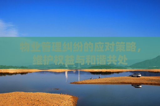 物业管理纠纷的应对策略，维护权益与和谐共处