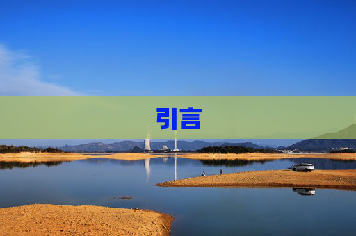 引言