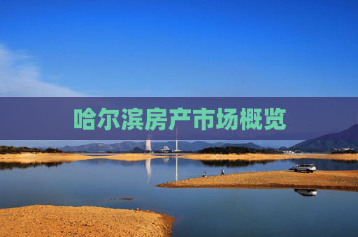 哈尔滨房产市场概览