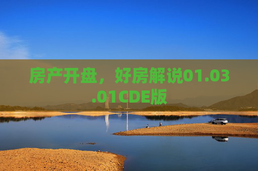 房产开盘，好房解说01.03.01CDE版