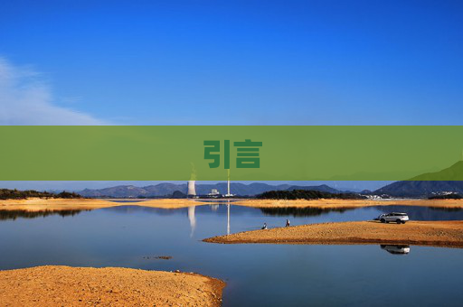 引言