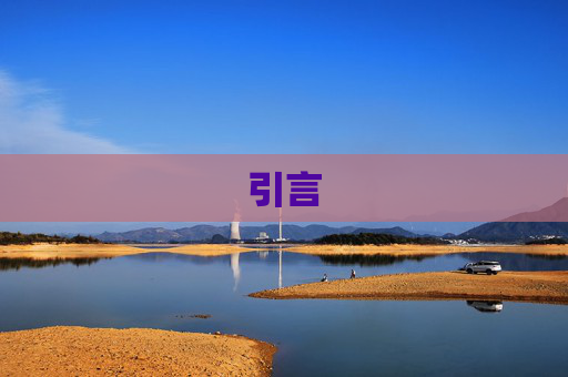 引言