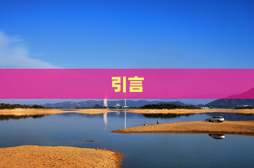 引言