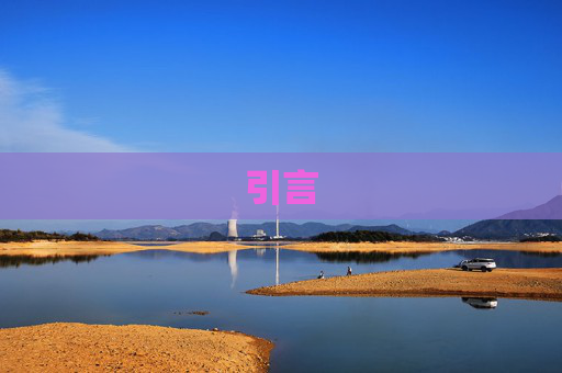 引言