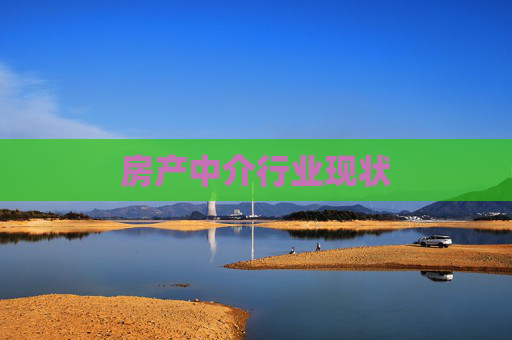 房产中介行业现状