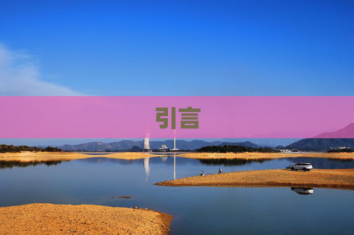 引言