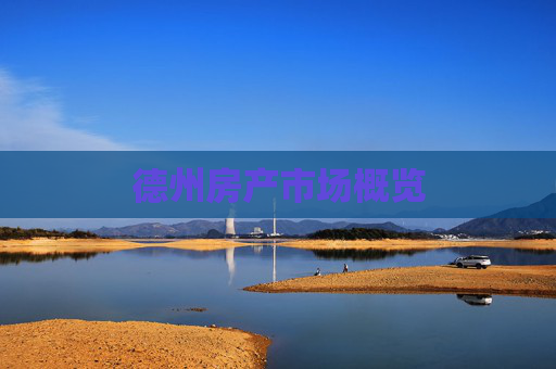 德州房产市场概览