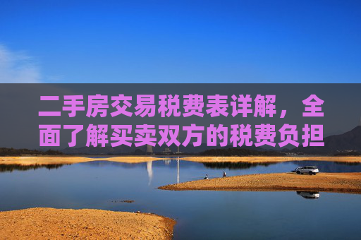 二手房交易税费表详解，全面了解买卖双方的税费负担,二手房交易税费表是怎样的