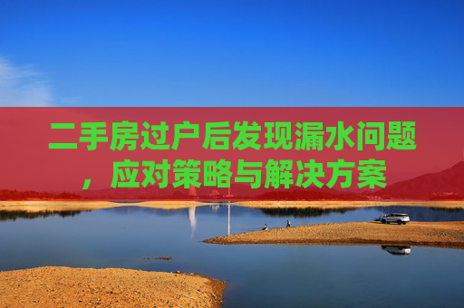 二手房过户后发现漏水问题，应对策略与解决方案