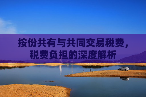 按份共有与共同交易税费，税费负担的深度解析