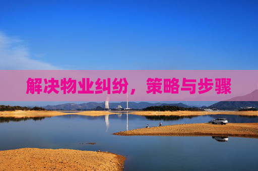解决物业纠纷，策略与步骤
